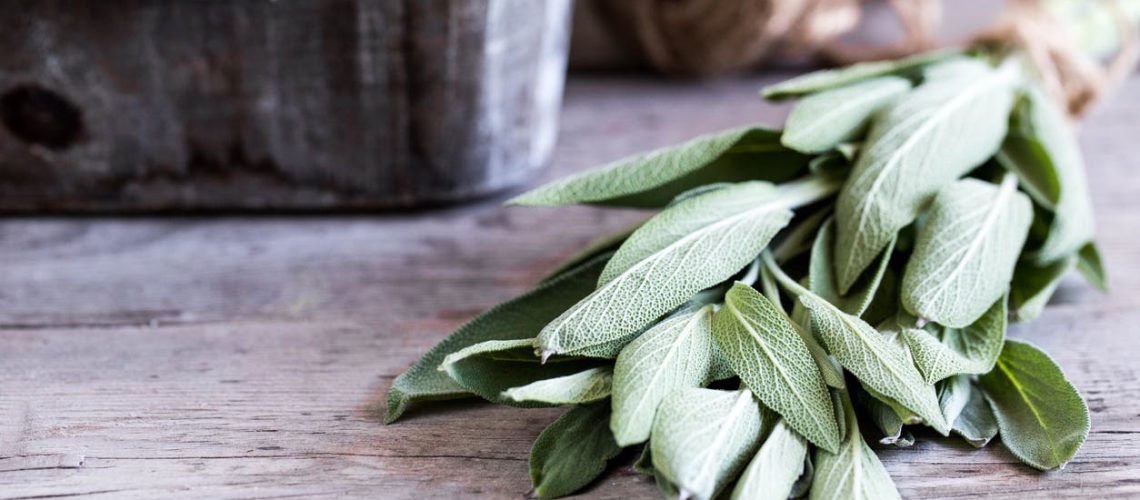 Quels sont les bienfaits de la sauge contre les bouffées de chaleur ?